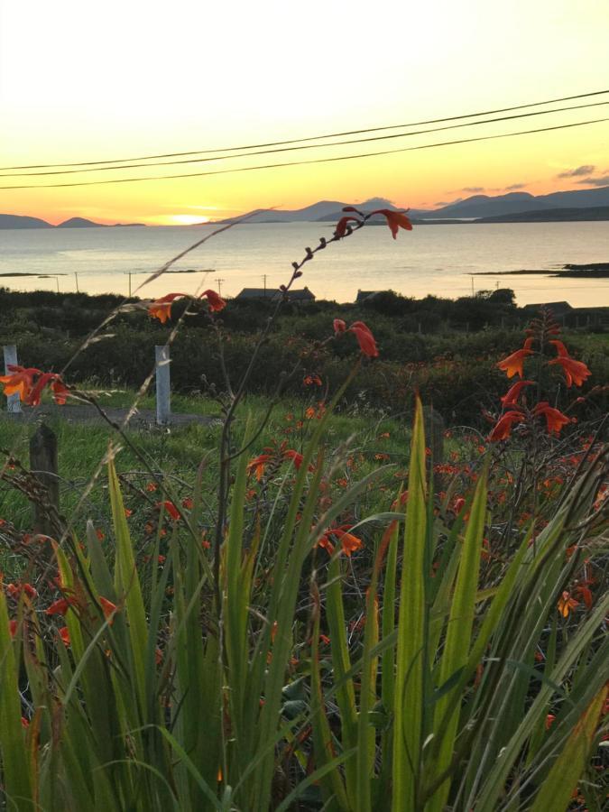 The Stable Self Catering Cottage @ Cappa House Bnb Eyeries 外观 照片